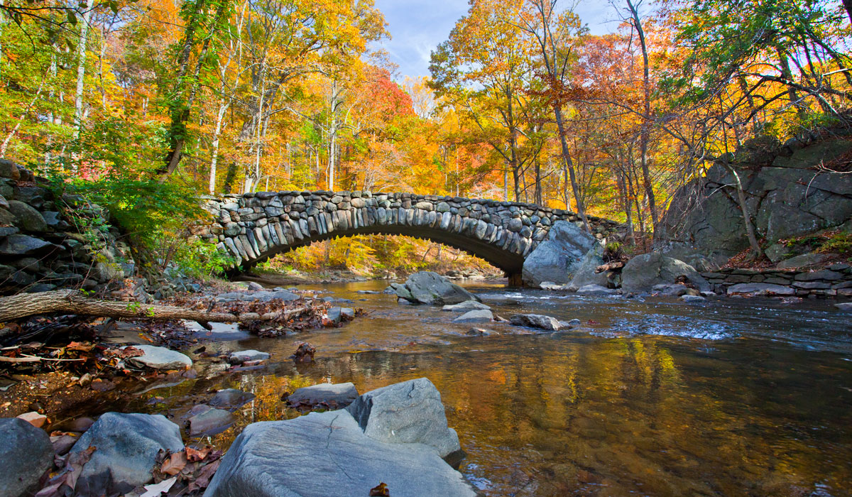 Rock Creek Park in the fall